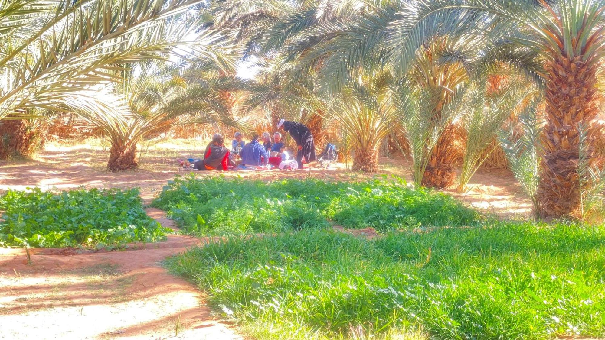 Atta Desert Camp El Gouera Exterior photo