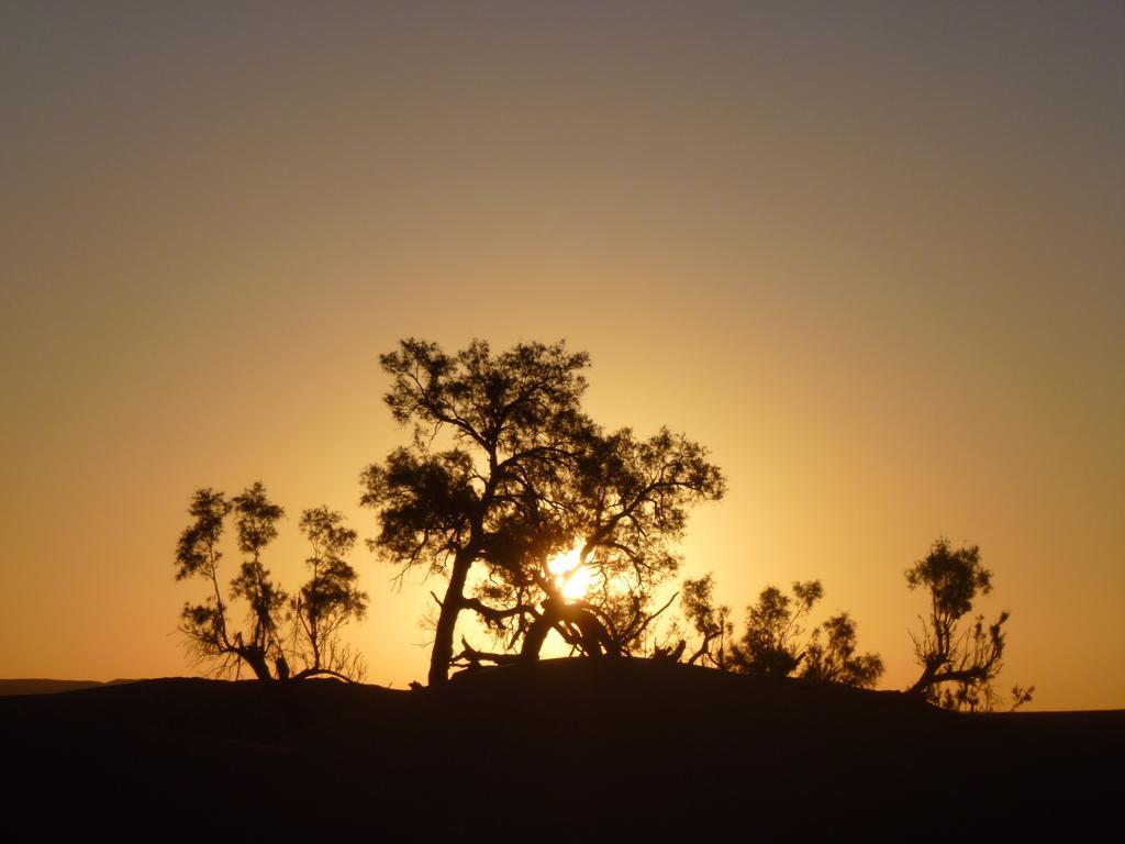 Atta Desert Camp El Gouera Exterior photo